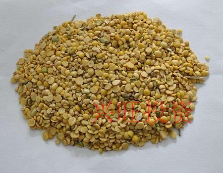 飼料貿易公司起名技巧，大氣的飼料公司起名方法