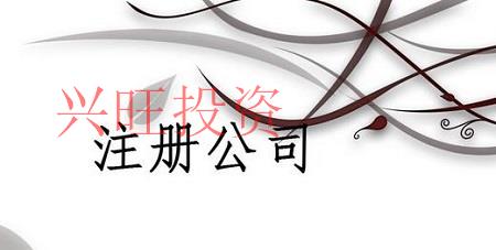 廣州市注冊(cè)有限責(zé)任公司