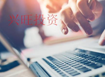代理記賬報(bào)稅